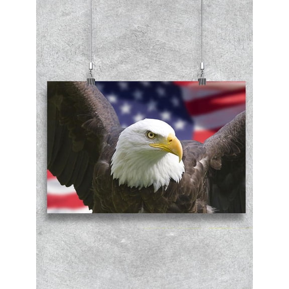 Bald Eagle In Front Of Usa Flag. Poster -Image by Shutterstock