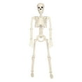 thumbnail image 2 of Halloween Skeleton Decorations- Life Size Human Skeleton with Full Body Posable Joints Plastic Skeleton for Halloween Skeletons Decor Yard Patio Lawn Garden Skeleton Props Spooky Party Decoration, 2 of 6