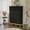 Black, variant on HLR Shoe Storage Cabinet with 2 Flip Drawers, Freestanding Organizer with Wood Legs for Entryway, Narrow Shoe Rack Cabinet, Black