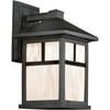 Forte Lighting 1 Light Outdoor Wall Lantern