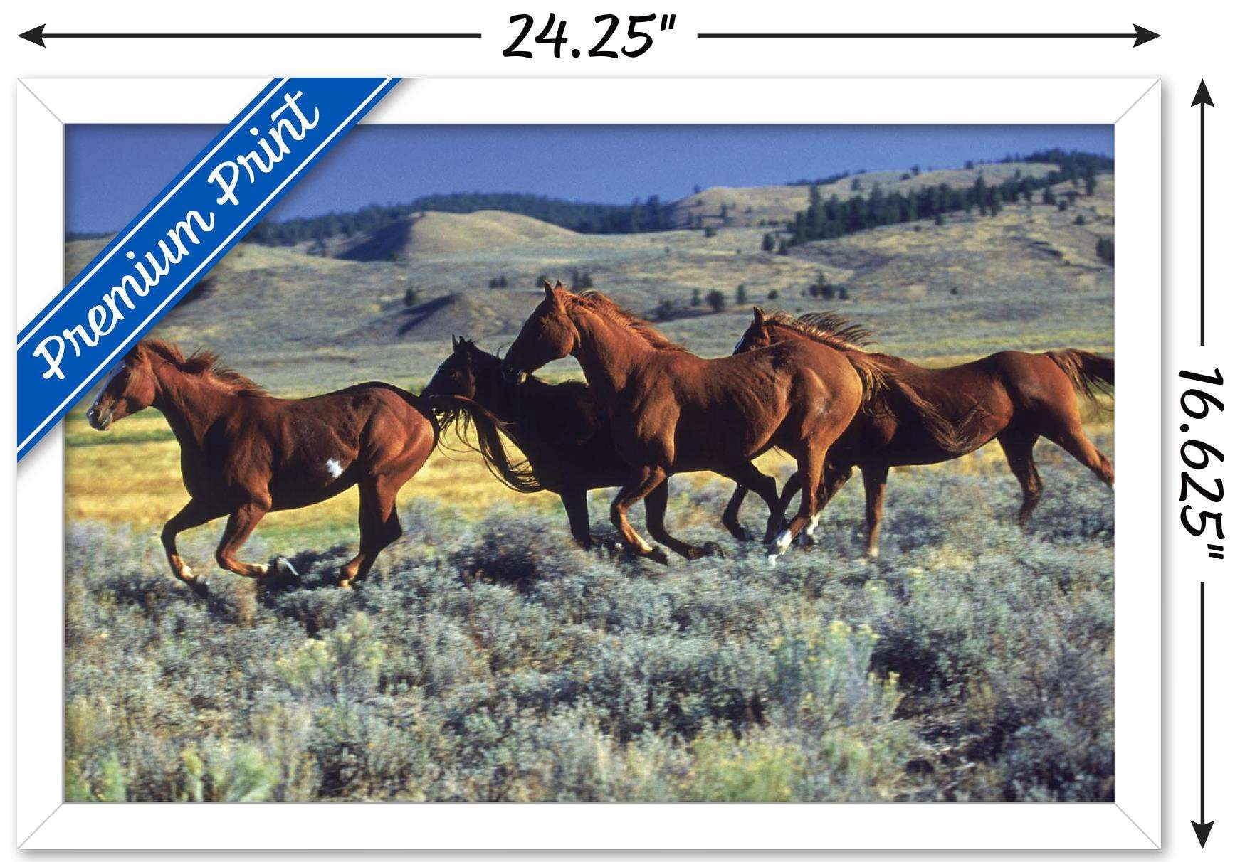 Animals - Horses Running on the Planes Wall Poster, 14.725" x 22.375", Framed