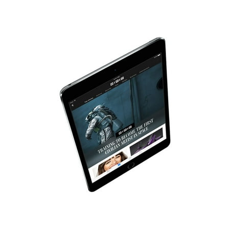 Apple Ipad Mini 4 Wi Fi Cell 128gb Gray Vz Brickseek