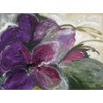 thumbnail image 2 of Dreyer, Ingeborg 32x25 White Modern Wood Framed Museum Art Print Titled - Clematis, 2 of 4