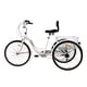 thumbnail image 2 of Tricicleta Triciclo Para Adulto Rodada 26 Shimano Velocidade TERRAFIT  Triciclo, 2 of 4