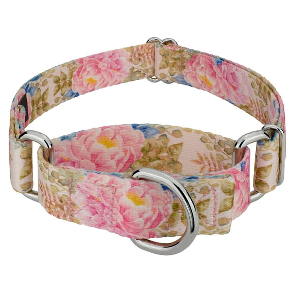 Country Brook Petz® Watercolor Peonies Martingale Dog Collar, Large