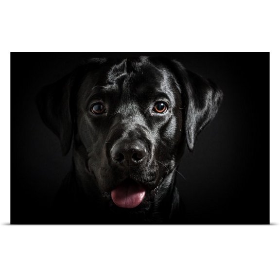 Great BIG Canvas Federico Venuda Poster Print entitled Blade III