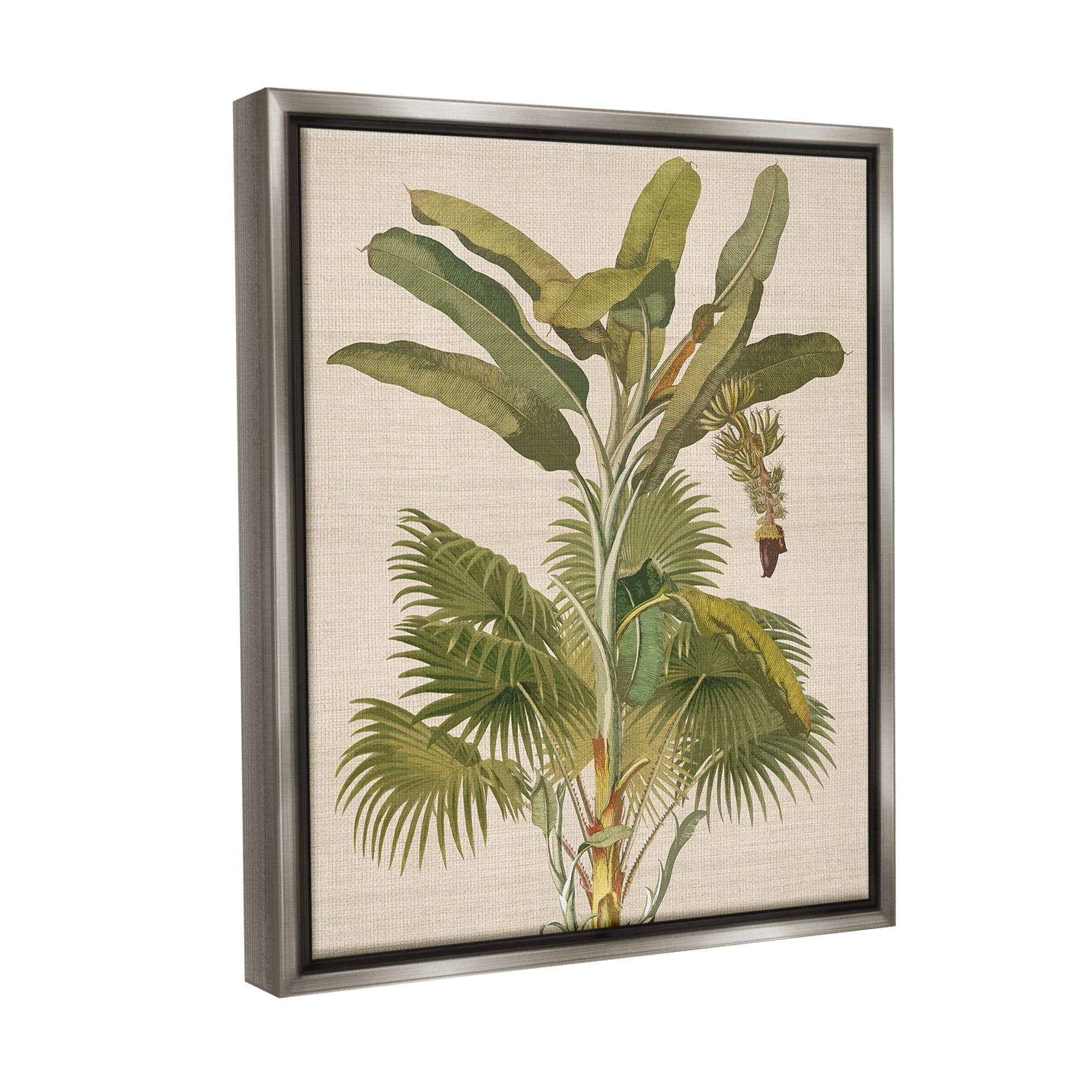 Stupell Industries Vintage Tropical Plant Botanical & Floral Painting Gray Floater Framed Canvas Art Print Wall Art, 25 x 31