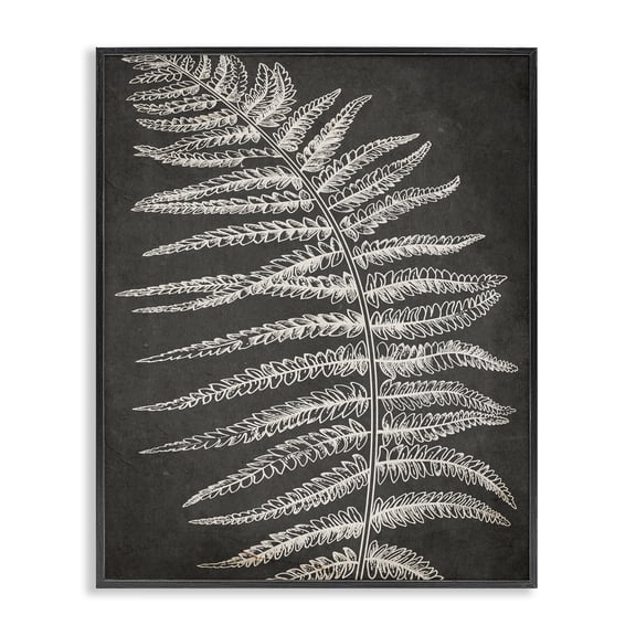 Stupell Industries Victorian Fern Leaf on Grey Black Framed Giclee Art, 16 x 20, by Ros Ruseva