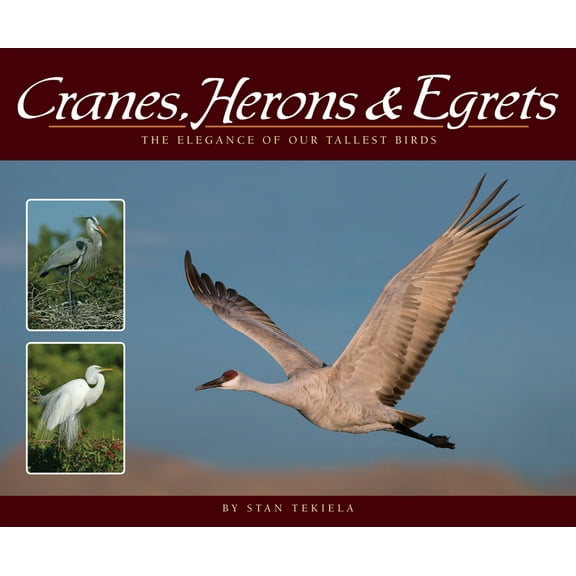 Wildlife Appreciation Cranes, Herons & Egrets: The Elegance of Our Tallest Birds, (Paperback)
