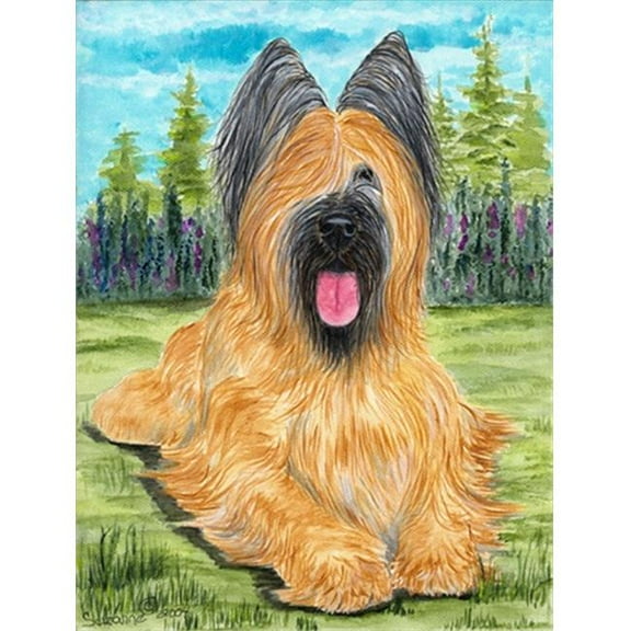 Briard Flag Garden Size