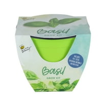 Buzzy Basil Herb Grow Kit Item 97717