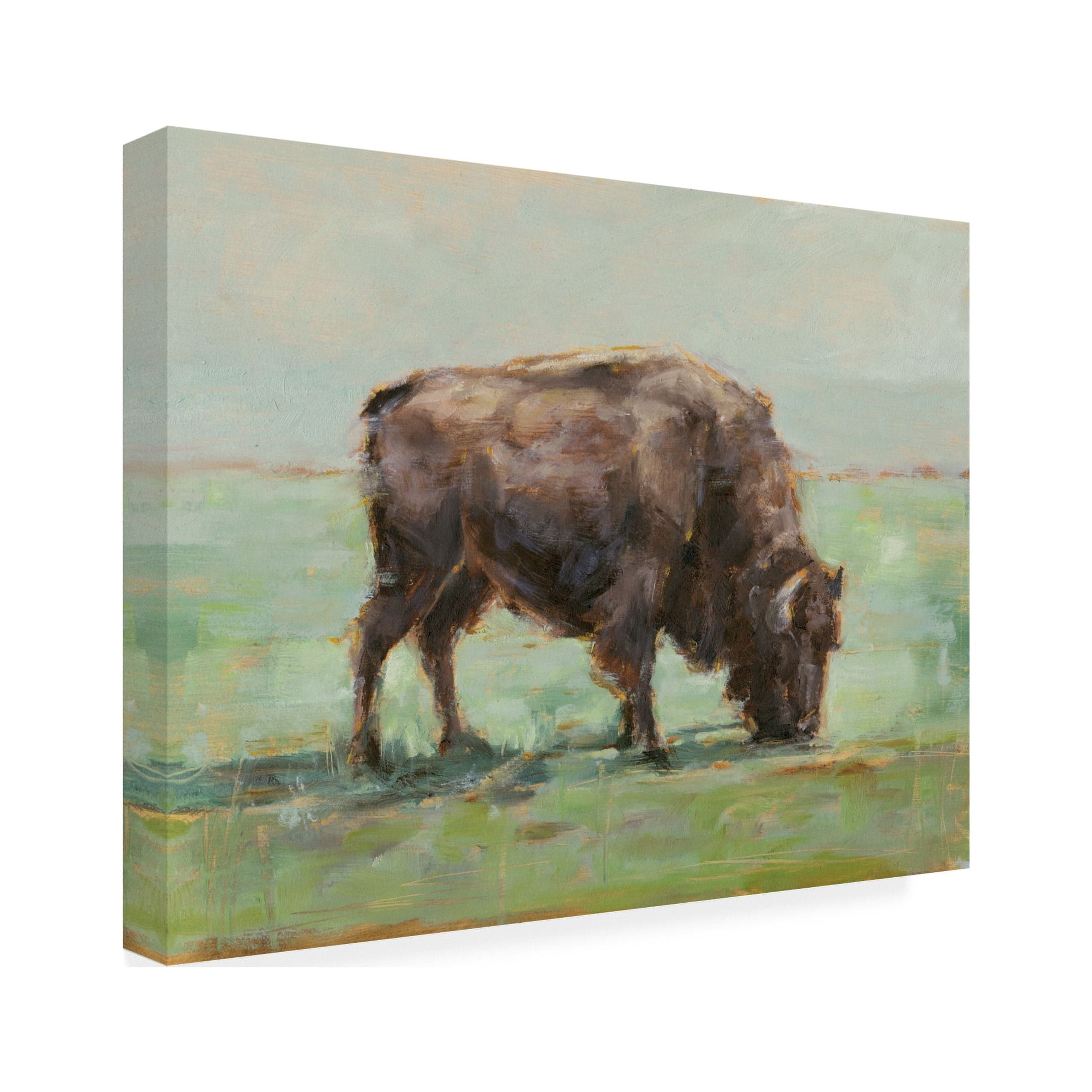 Ethan Harper 'Where the Buffalo Roam I' Canvas Art