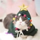 thumbnail image 5 of Uuiauoio Christmas Pet Cape with Plush Ornaments and Star Hood, Adjustable Pet Holiday Attire for Christmas Parties, Festive Gatherings, Small Animal Christmas Themed Outfit for Seasonal Celebrations, 5 of 6