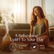 Gya Labs Breathe Essential Oil Blends - Breathe Easy Essential Oils from Eucalyptus, Peppermint and More for Humidifier Cleaner (0.34 Fl Oz)