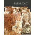 thumbnail image 1 of Shipwrecked: Tang Treasures and Monsoon Winds, 1 of 1