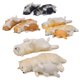thumbnail image 1 of Gwong Juguete Serie de dormir SHIBA INU Modelo Molde Husky Etiqueta de refrigerador Decoración de muñecas de coche Gwong 30006744, 1 of 7
