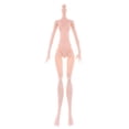 thumbnail image 2 of Cuerpo de Muñeca Articudo con de 3 Piezas, Cuerpos Femeninos Desnudos Sin Accesorios de Visualización de Cabeza Juguetes Articudos Móviles CUTICAT Cuerpo de muñecas de niña desnuda, 2 of 8