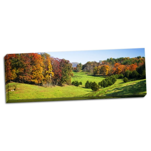 Gango Home Decor Contemporary Rolling Autumn Hills I by Alan Hausenflock (Ready to Hang); One 20x8in Hand-Stretched Canvas