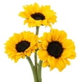 thumbnail image 4 of Kabloom Fresh Bouquet of 10 Bright Sunflowers with Vase, 4 of 5