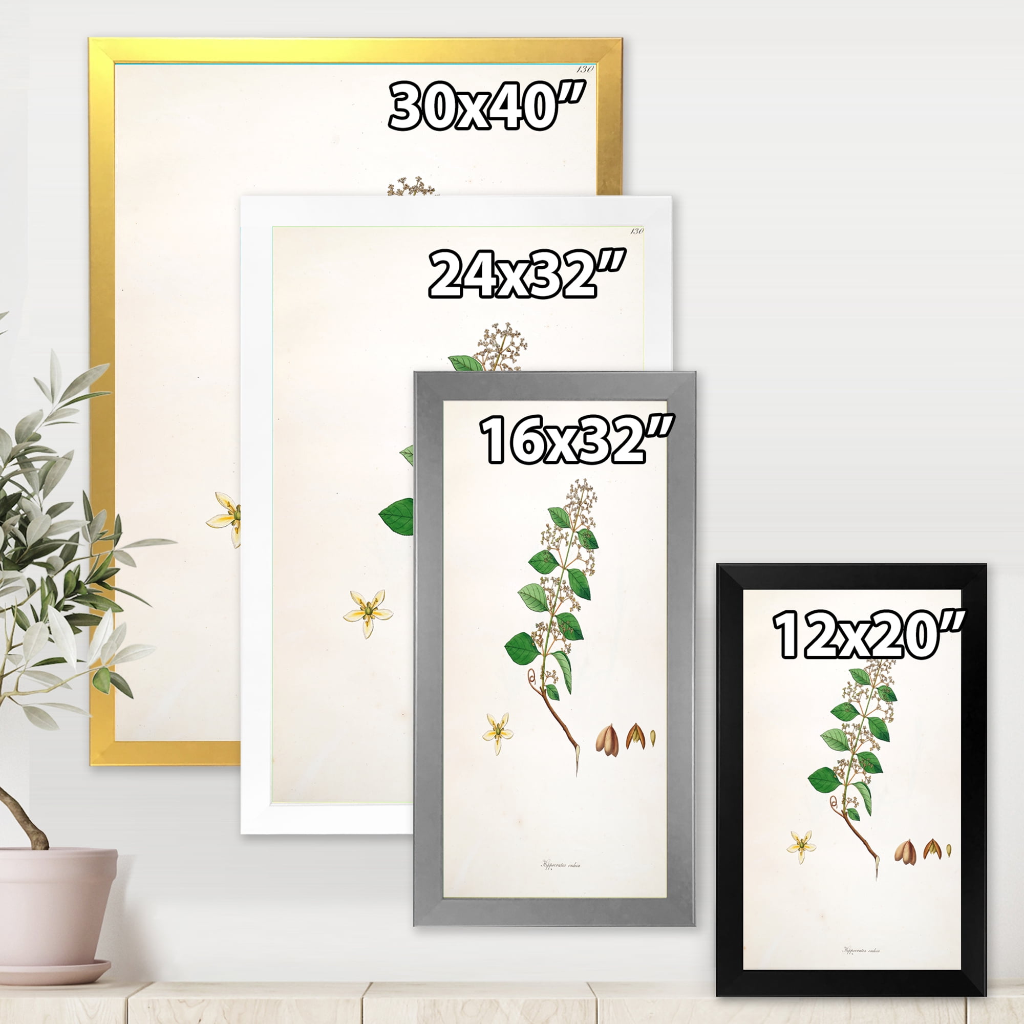 Designart 'Ancient Botanicals I' Farmhouse Framed Art Print