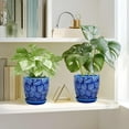 thumbnail image 6 of EFISPSS 6 inch Blue Ceramic Plant Pots with Drainage & Saucer, Natural Boho Crackle Glaze, Indoor/Outdoor Flower Planter, 3 Pack, 6 of 6