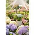 thumbnail image 3 of Pot de fleurs Mainstays Basic Bell 30 cm, blanc, design classique avec soucoupe intégrée, résistant aux intempéries., 3 of 4