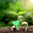 thumbnail image 1 of FUTUREORYY 100Ud Etiquetas De Plantas En Forma Para Jardín Marcadores Resistentes Y Decorativos, 1 of 6