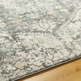 thumbnail image 4 of Livabliss Alpharetta Vintage Medallion Area Rug,6'7" x 9',Medium Grey, 4 of 5