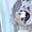 C, variant on Chiikawa Hachiware Hat Cartoon Anime Accessories Plush Cute Birthday Gift