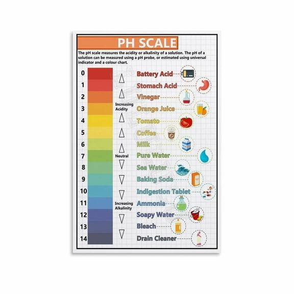 The Ph Scale Chart Poster Chemical Education Canvas Painting Posters And Prints Wall Art for Living Room Bedroom Decor