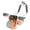 Orange, variant on Blue Abdominal Trainer Double Wheel Ab Roller with Mat and Timer for Core Strength Exercise