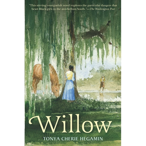 Pre-Owned Willow (Paperback) 1536226025 9781536226027
