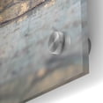 thumbnail image 3 of Epic Art 'Crystal and Fossil' by Elena Ray, Acrylic Glass Wall Art, 24"x36", 3 of 8
