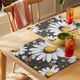 thumbnail image 4 of Daisy Bee Placemats Set of 2, Farmhouse Flower Vintage Blackboard Background Non-Slip Place Mats Washable Table Mats for Kitchen Dining Table Decorations Indoor/Outdoor, 4 of 9