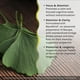 thumbnail image 3 of Suplemento Healthy Brain All-Day Focus de Irwin Naturals, 60 cápsulas blandas, 3 of 5