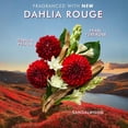 thumbnail image 3 of Crema de manos Moroccanoil Dahlia Rouge 40 ml, 3 of 7