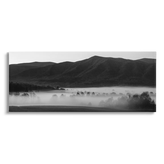 Stupell Industries Foggy Woodland Nature Landscape Photography Gallery Wrapped Canvas Art Print Wall Art, 24 x 10