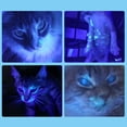 thumbnail image 4 of Multifunction Handheld LED UV 365nm Flashlight USB Rechargeable Portable Pet Detector Light, 4 of 8