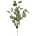 thumbnail image 1 of Silver Dollar Eucalyptus Branch Faux Plants And Trees, 1 of 1