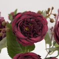 thumbnail image 5 of EIMELI Simulation Flower Wedding Decoration Maintenance Free Attractive Fake Silk Peony Artificial Flower, 5 of 5