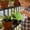 D, variant on Watering Can For Home Garden Durable Indoor Outdoor Use Ergonomic Handle Ideal For Watering Potted And