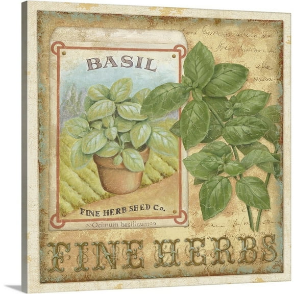 Great Big Canvas "Fine Herbs I"  by Daphne Brissonnet Black    Wrapped Canvas Print Wall Artwork