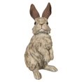 thumbnail image 3 of RABBIT STANDING DRIFTWOOD LOOK, 3 of 4