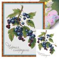 thumbnail image 1 of Kit Punto Cruz Con Frutas Hilo Algodón Ecológico Bordado 14CT Obra Arte 22x32cm, 1 of 9