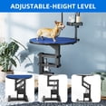 thumbnail image 3 of DEXTRUS Corded Electric Adjustable Dog Grooming Table with Storage Box, 110 lb Limit, 3 of 10