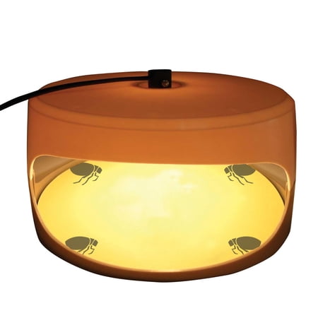 Htovila Sticky Flea Trap Dome Flea Bed Bug Trap with 2 Glue Discs, Odorless Flea Killer Trap Pad, Flea Trap Light Children and Pets Friendly, Plug