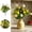 B, variant on 6 Pcs Artificial Lemon Branches with Fruit, Lemon Bouquet Stem for Home Kitchen Bathroom Wedding Party Display, Farmhouse Spring Summer Decoration for Indoor Outdoor