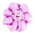 thumbnail image 5 of Dvkptbk Cinq Résille Filet à Cheveux pour Cheveux Ronds Filet en Satin Dentelle pour Danseurs Filet à Cheveux pour le Personnel de Banque et les Infirmières 5 Pcs, 5 of 5