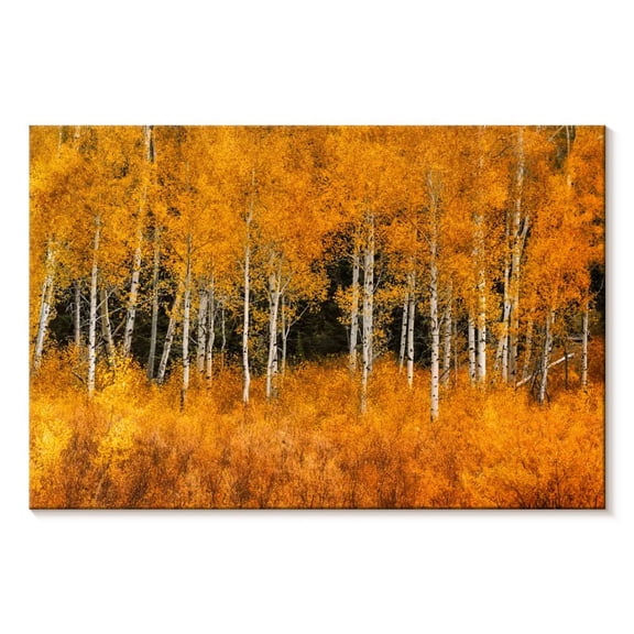 Elephant Stock Grand Teton Aspen Trees Wall Art - Horizontal Canvas Wall Art - Living Room Wall Decor - Floral And Botanical Canvas - Orange And Black Decor - 12" x 8"