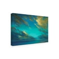 thumbnail image 2 of Sheila Finch 'Coastal Cloudscape' Canvas Art, 2 of 3